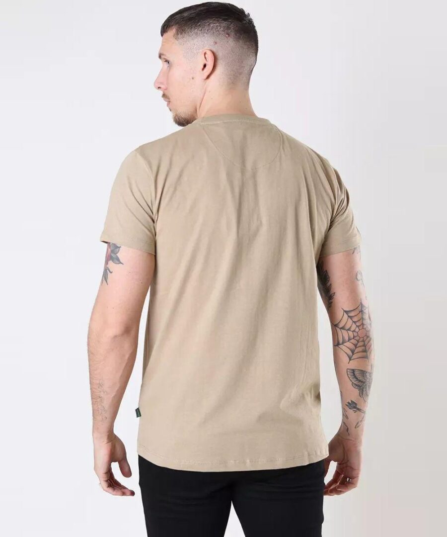 Timmi Desert - Imagen 4