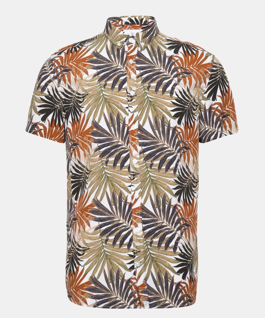 Johan Tropical Tobacco