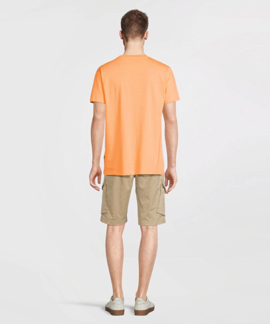Timmi Papaya - Imagen 5