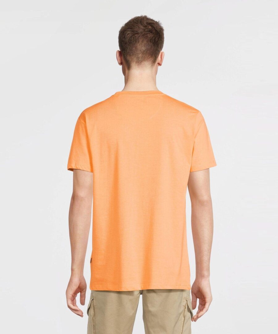 Timmi Papaya - Imagen 2